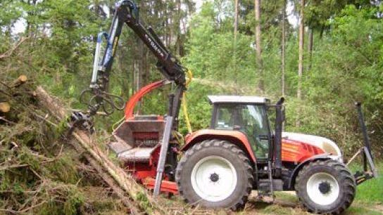 Beispielarbeit von MR Service GmbH - veröffentlicht auf Gartenbau.org