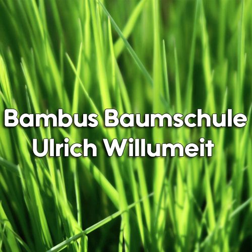 Logo der Firma Bambus-Baumschule Ulrich Willumeit aus Darmstadt auf dem Branchenportal Gartenbau.org