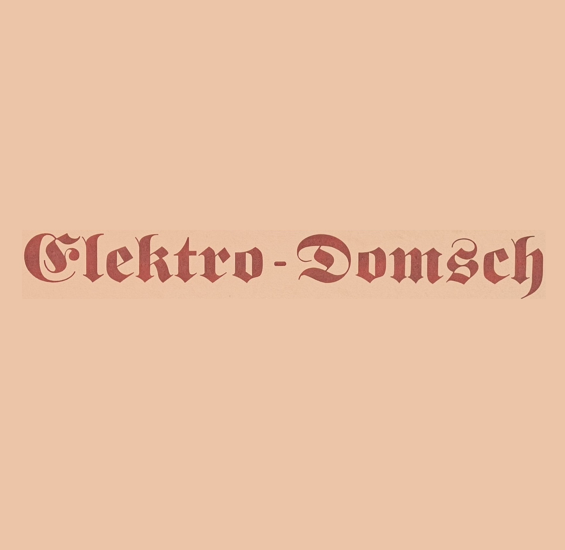 Logo der Firma Lutz Zimmermann Elektro Domsch aus Bad Schandau auf dem Branchenportal Elektriker.org