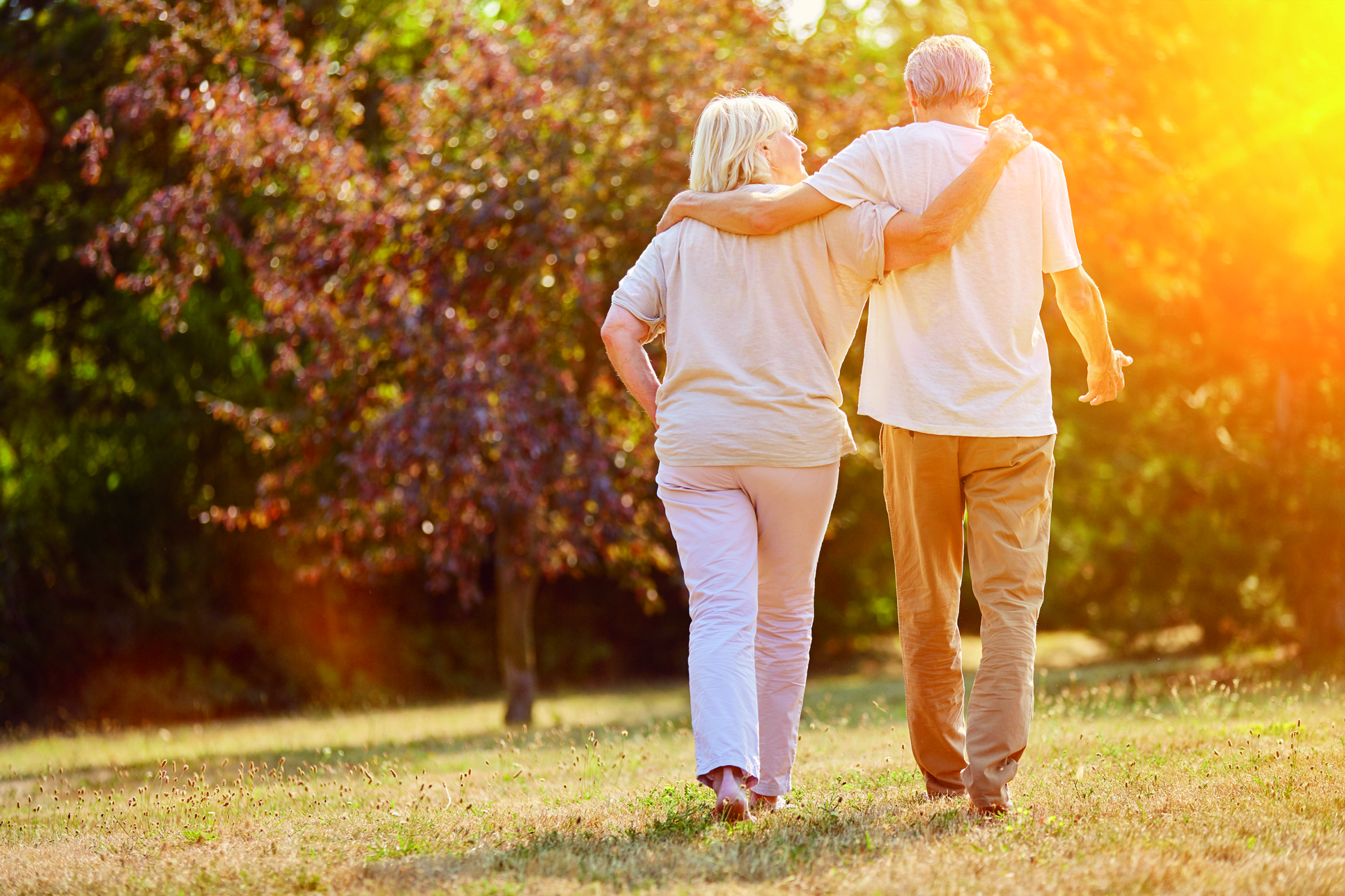 Care Pflegegesellschaft mbH cover image