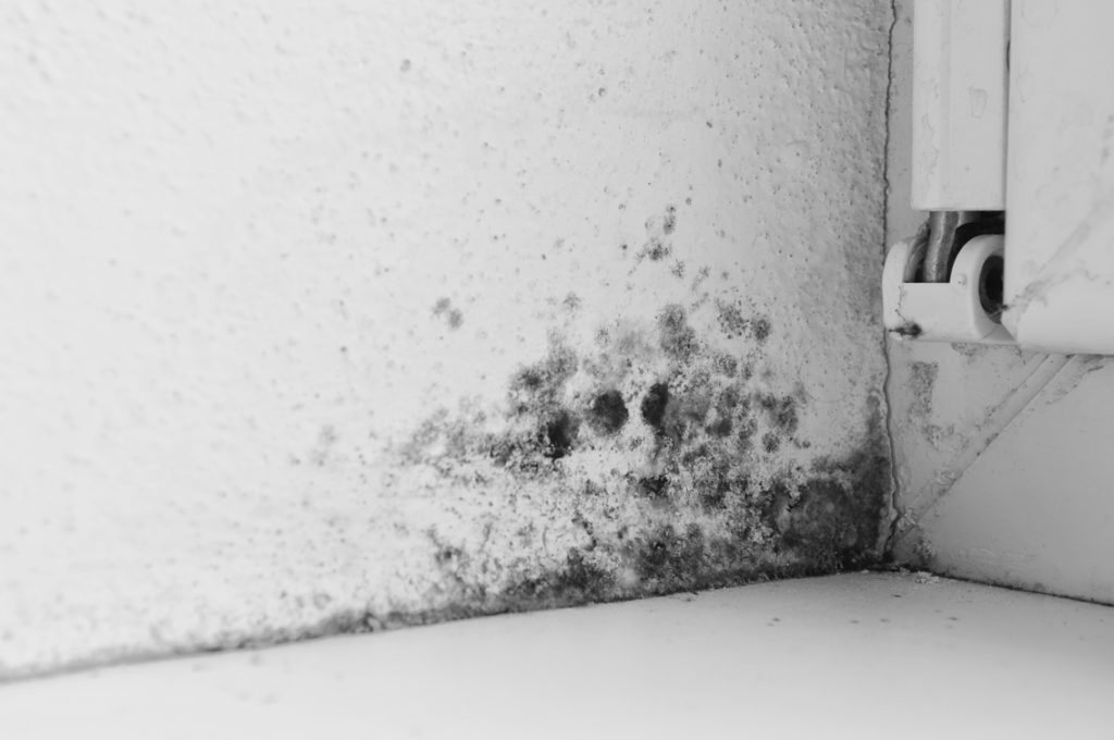 Beispielarbeit von Stefan Huber Wasserschadensanierung - veröffentlicht auf Klimatechniker.net