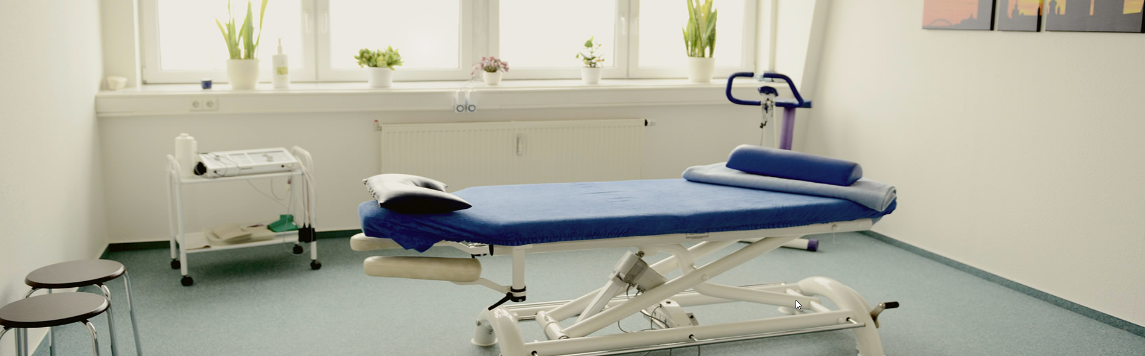 Peggy  Hoischen  Physio- u. Ergotherapie cover image