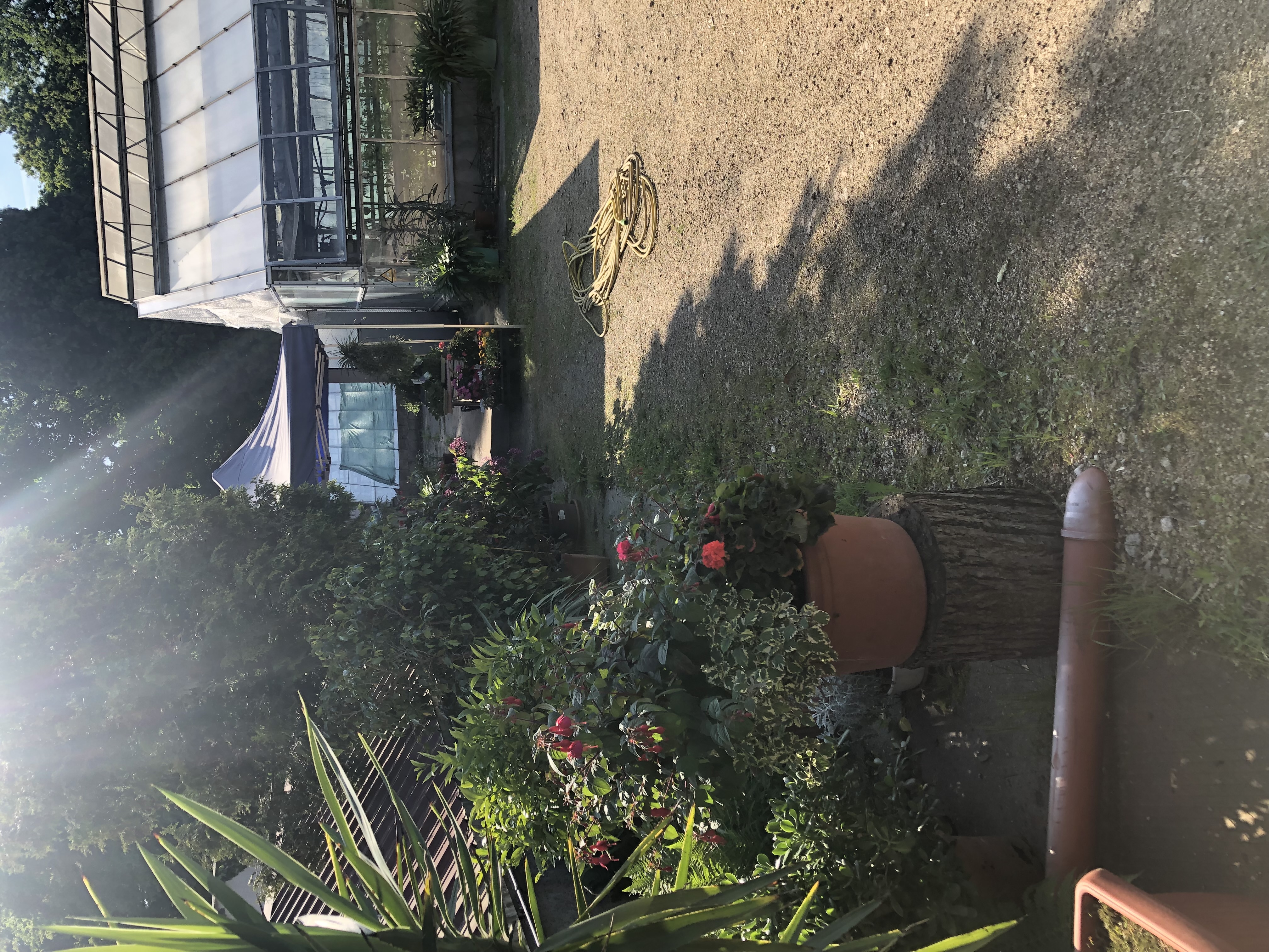Beispielarbeit von Klaus-Dieter Pietasch Gartenbaubetrieb - veröffentlicht auf Gartenbau.org