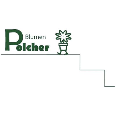 Logo der Firma Blumen Polcher aus Koblenz auf dem Branchenportal Gartenbau.org
