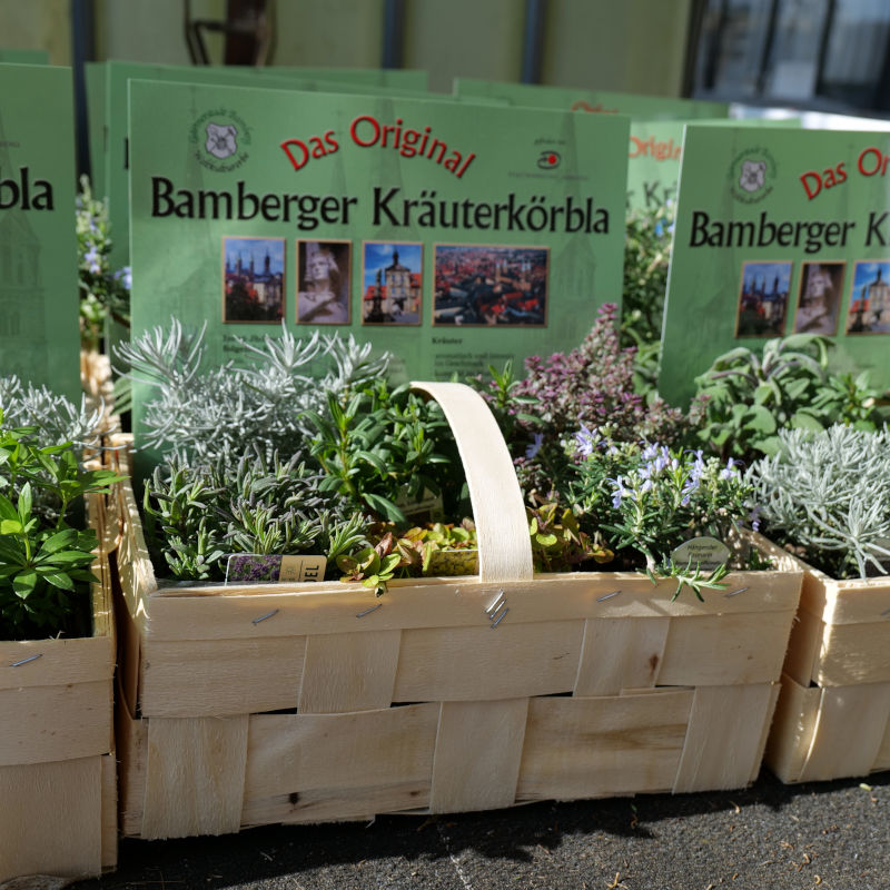 Beispielarbeit von Gärtnerei Böhmerwiese - veröffentlicht auf Gartenbau.org