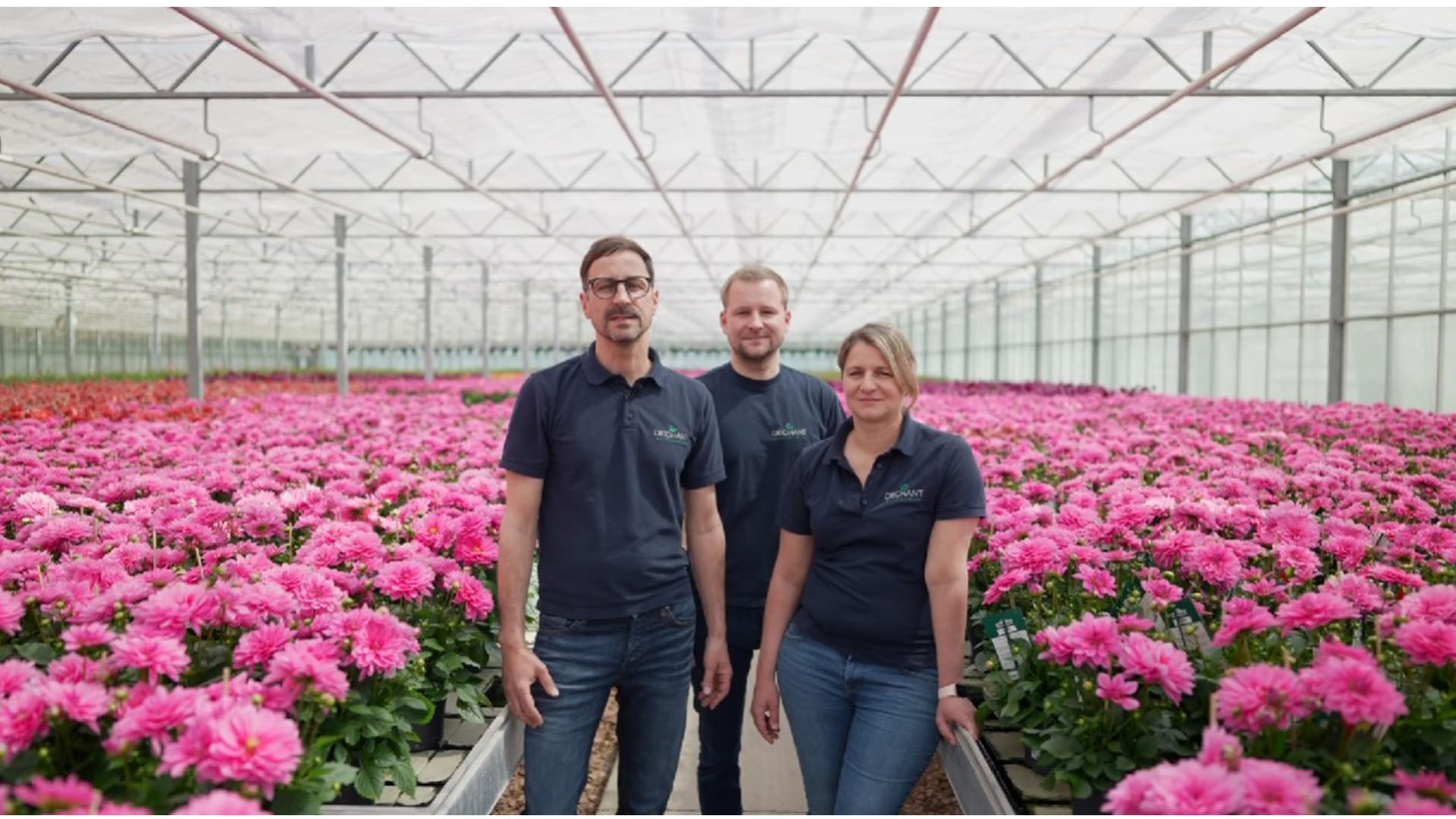 Beispielarbeit von Dechant Gartenbau GmbH & Co. KG - veröffentlicht auf Gartenbau.org