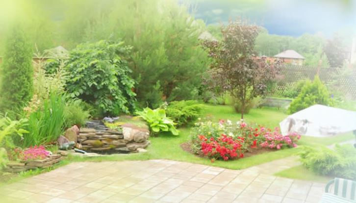 Beispielarbeit von Kamp Andreas - veröffentlicht auf Gartenbau.org