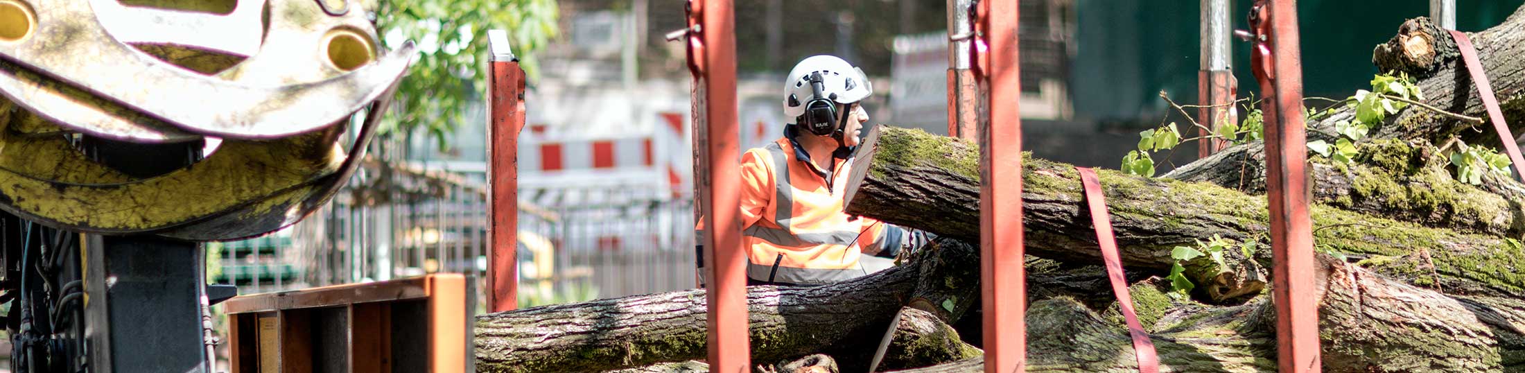 Beispielarbeit von Nürnberger Baumpflege GmbH - veröffentlicht auf Gartenbau.org