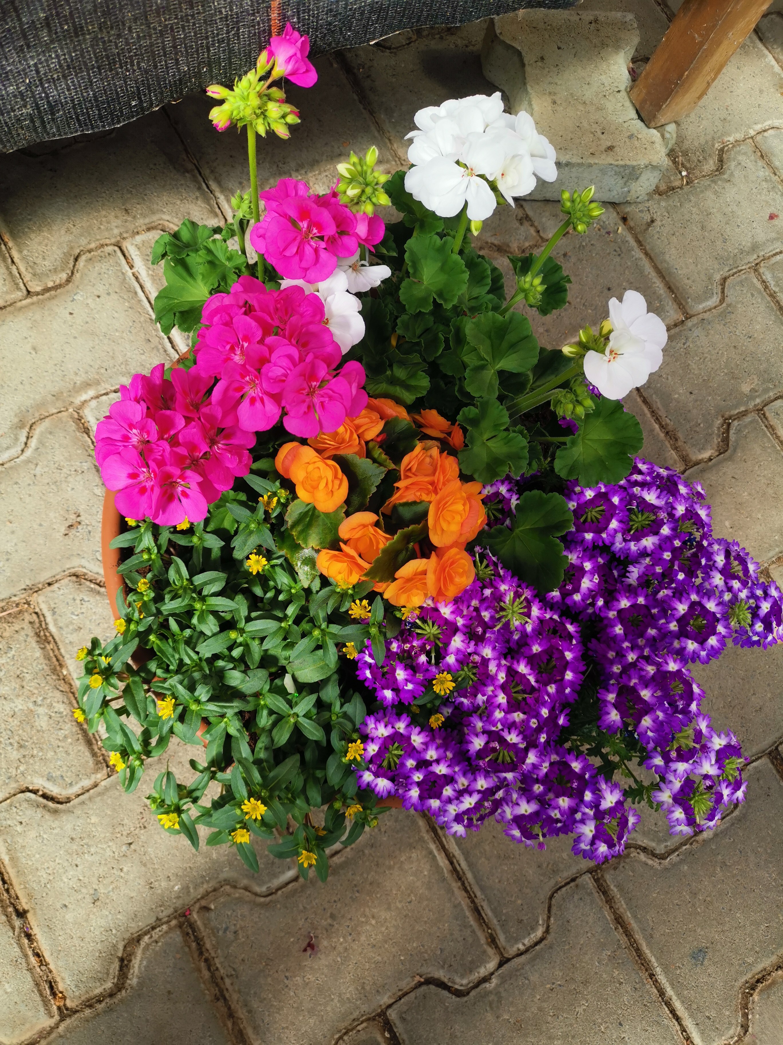 Beispielarbeit von Gärtnerei Pitterle - veröffentlicht auf Gartenbau.org