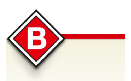 Logo der Firma Baumann & Sohn GmbH aus Freising auf dem Branchenportal Bauunternehmen.org