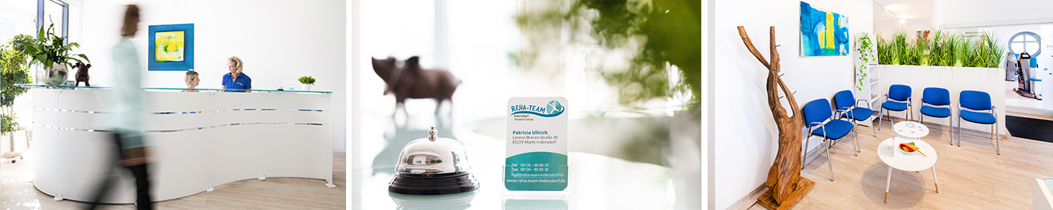 REHA-TEAM Indersdorf cover image