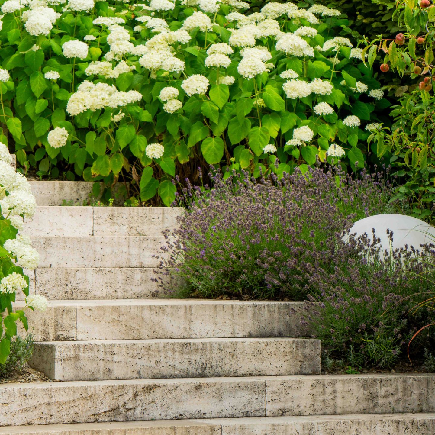 Beispielarbeit von WohnraumGarten - veröffentlicht auf Gartenbau.org