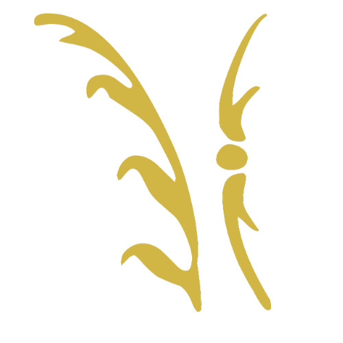 Logo der Firma Strauss Finance aus Remscheid auf dem Branchenportal Finanzberater.net