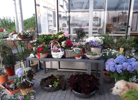 Beispielarbeit von Gärtnerei Marcus Dornauer - veröffentlicht auf Gartenbau.org