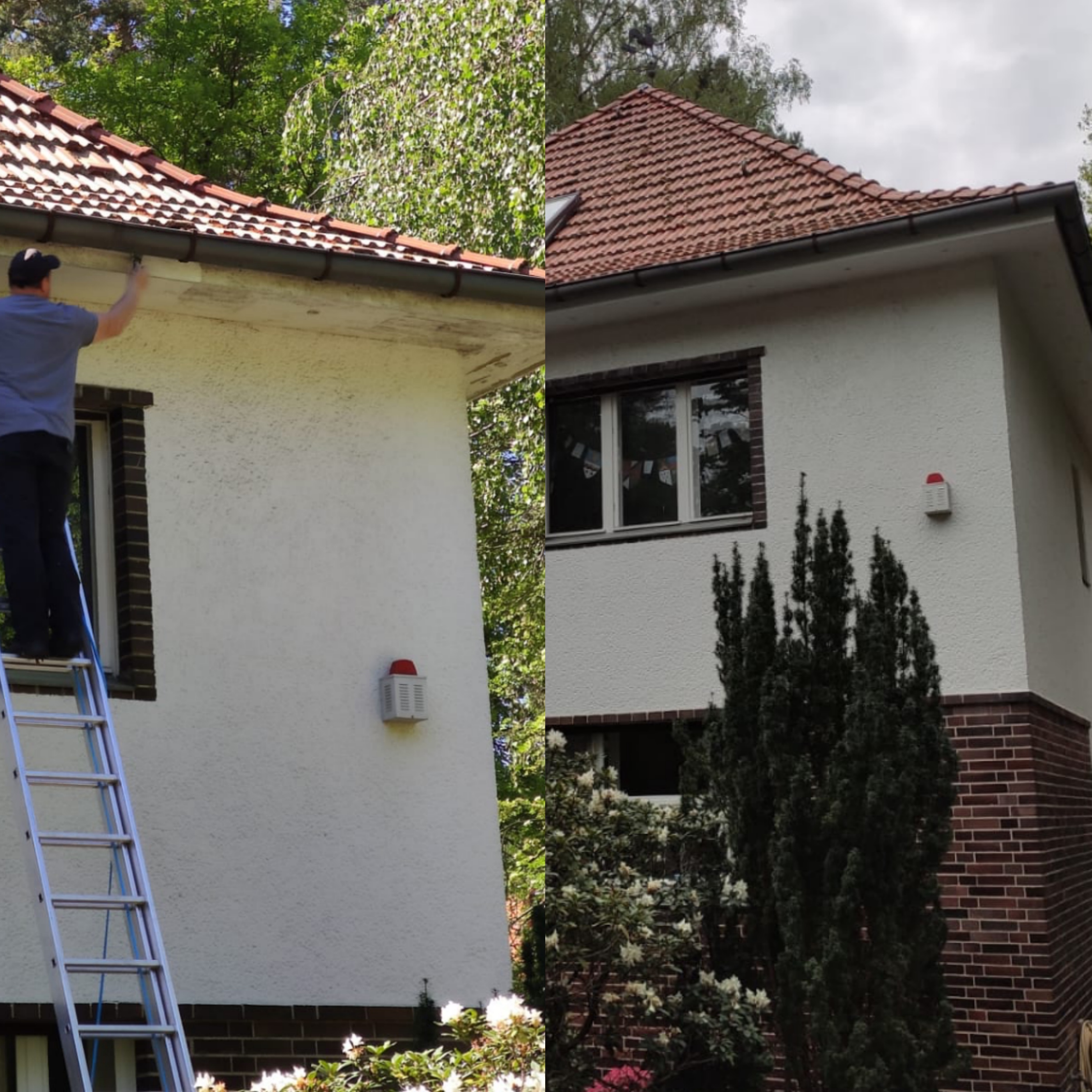 Beispielarbeit von DRB-Dachrinnenreinigung - veröffentlicht auf Dachdecker.com