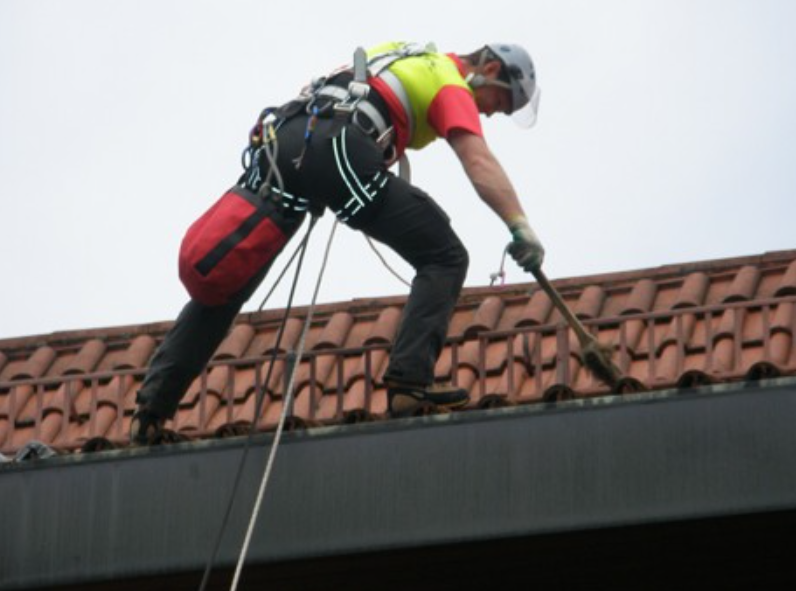 Beispielarbeit von A.R.C.Tec Baumgutachten, Baumpflege - veröffentlicht auf Gartenbau.org