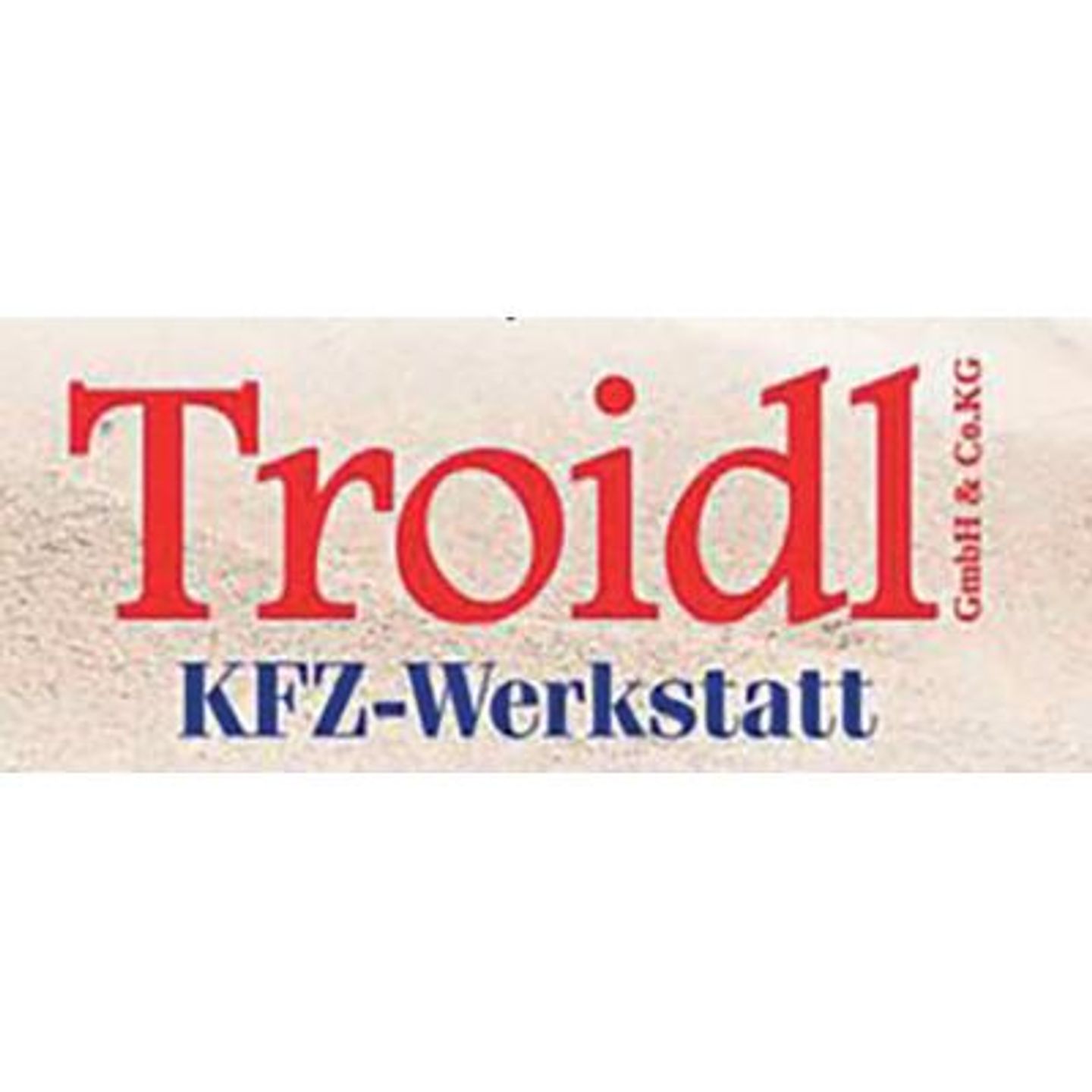 Logo der Firma Troidl GmbH & Co. KG Aushub - Erdarbeiten - Kehrmaschinen aus Pegnitz auf dem Branchenportal Gartenbau.org