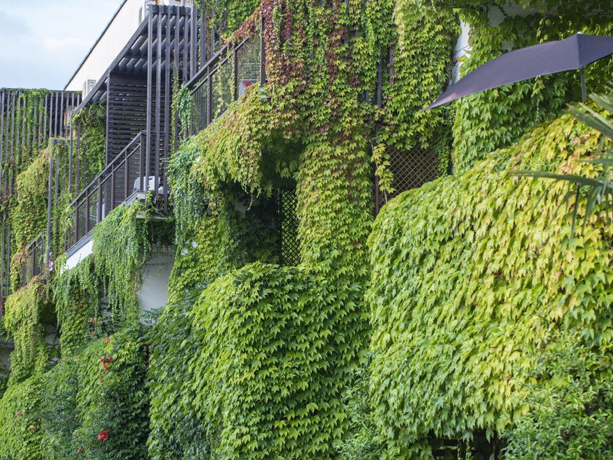 Beispielarbeit von AC Gartengestaltung - Gartenbau München - veröffentlicht auf Gartenbau.org