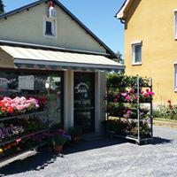 Beispielarbeit von Gärtnerei Kuhl - veröffentlicht auf Gartenbau.org