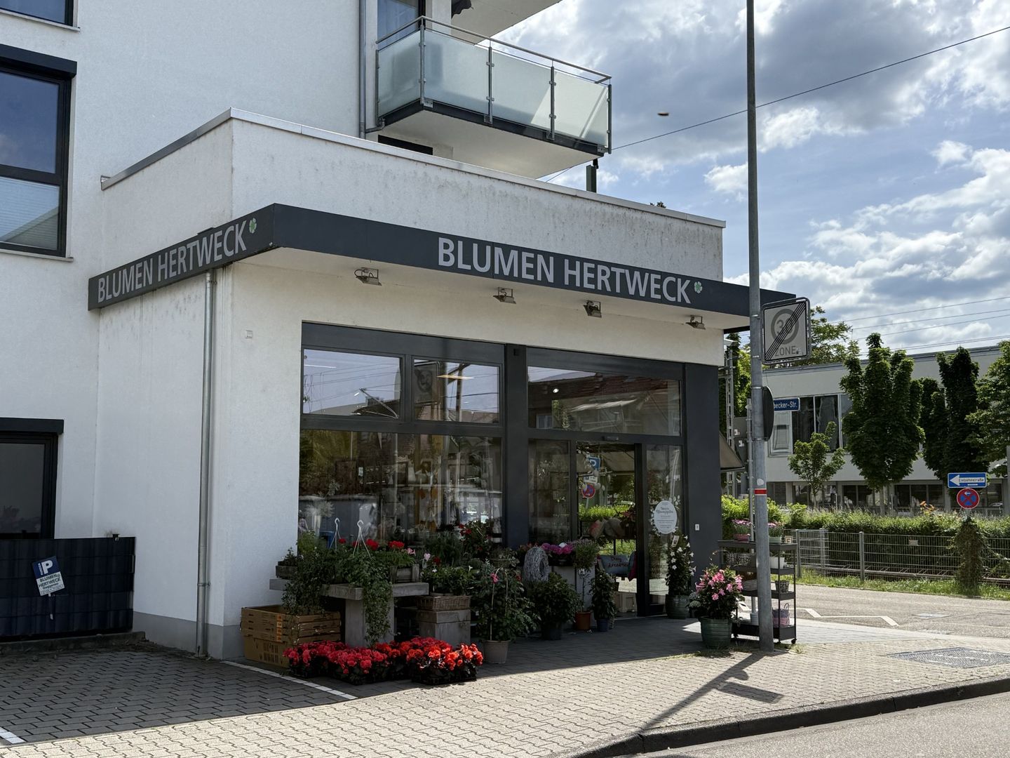 Beispielarbeit von Blumen Hertweck - veröffentlicht auf Gartenbau.org
