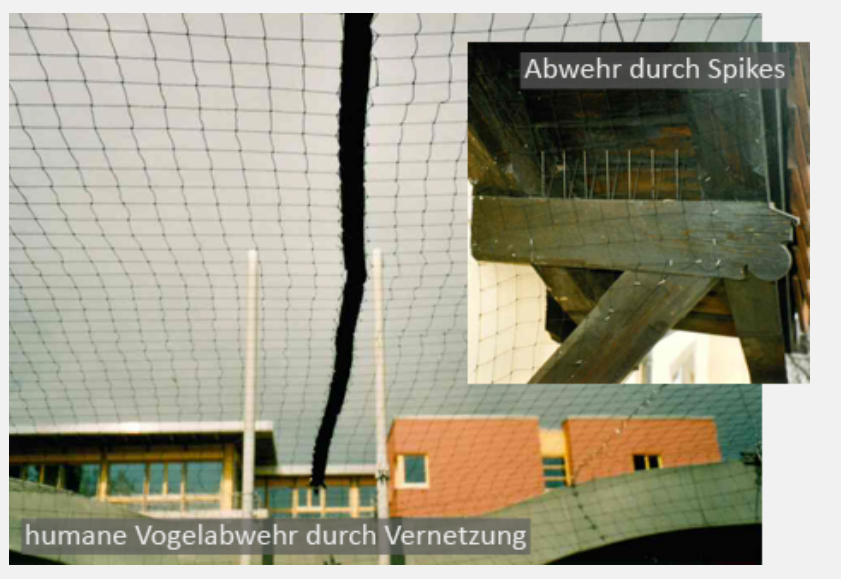 Beispielarbeit von Fa. WUDTKE Inh. Gerhard Wudtke geprüfte Schädlingsbekämpfer - veröffentlicht auf Schaedlingsvernichtung.de