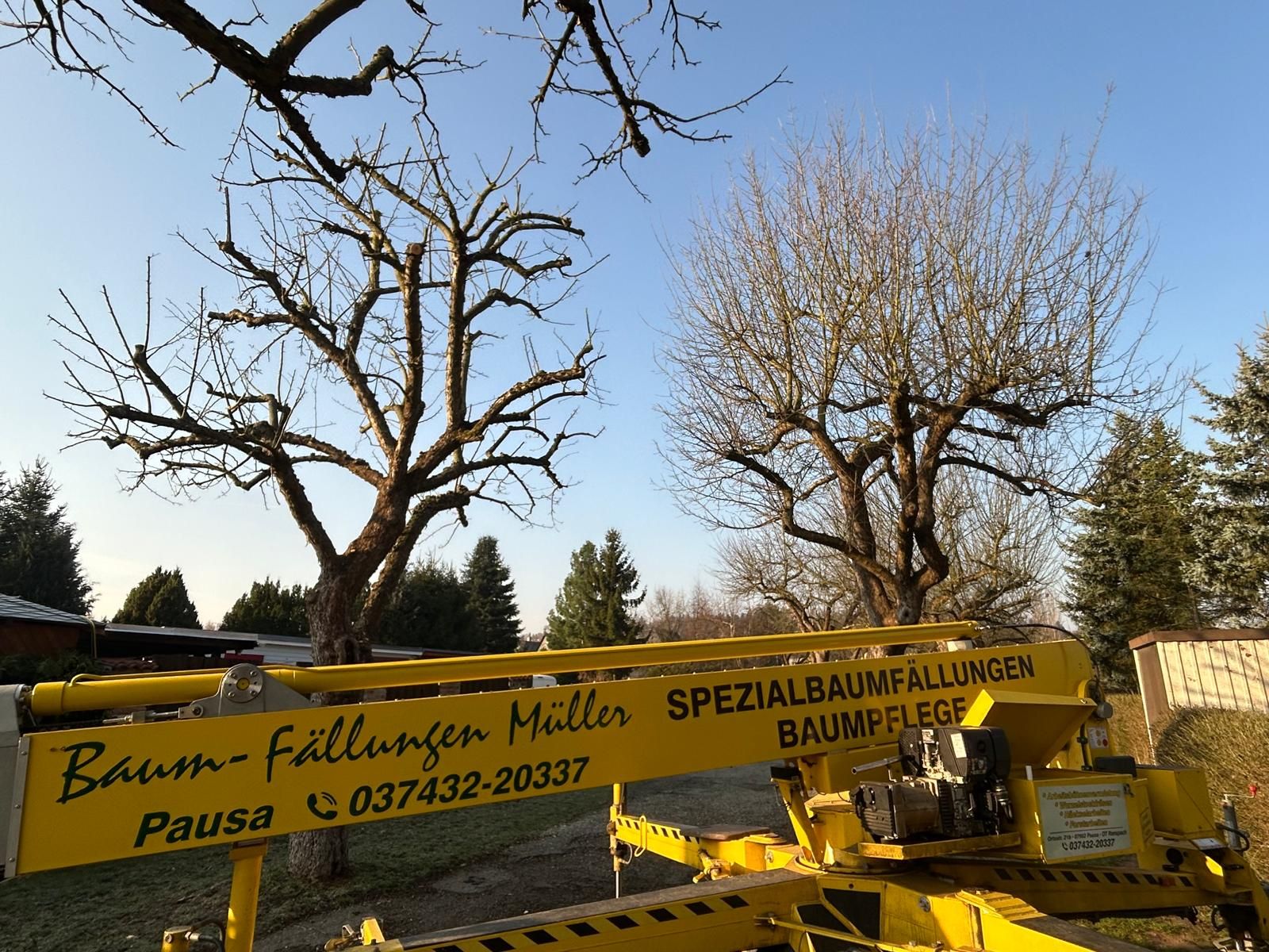 Beispielarbeit von Baumfällungen Müller - veröffentlicht auf Gartenbau.org
