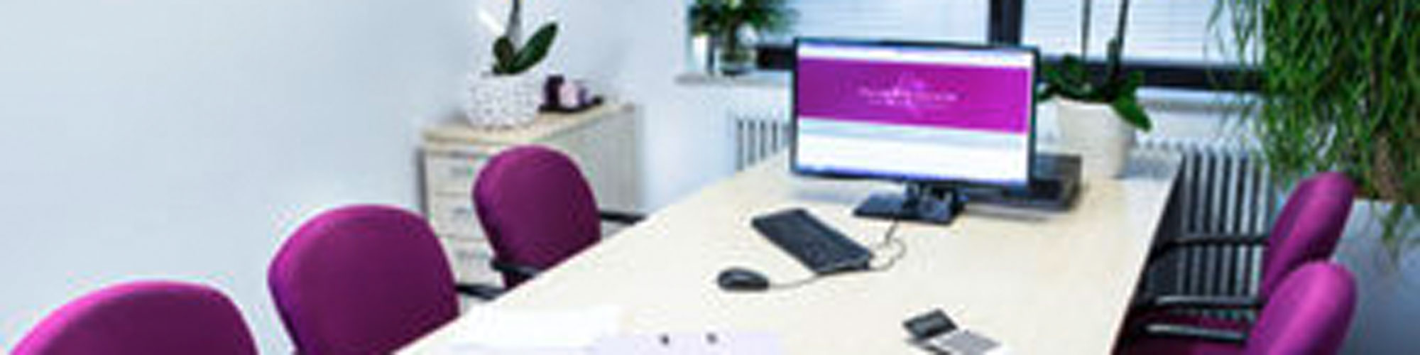 Plum & Partner cover image