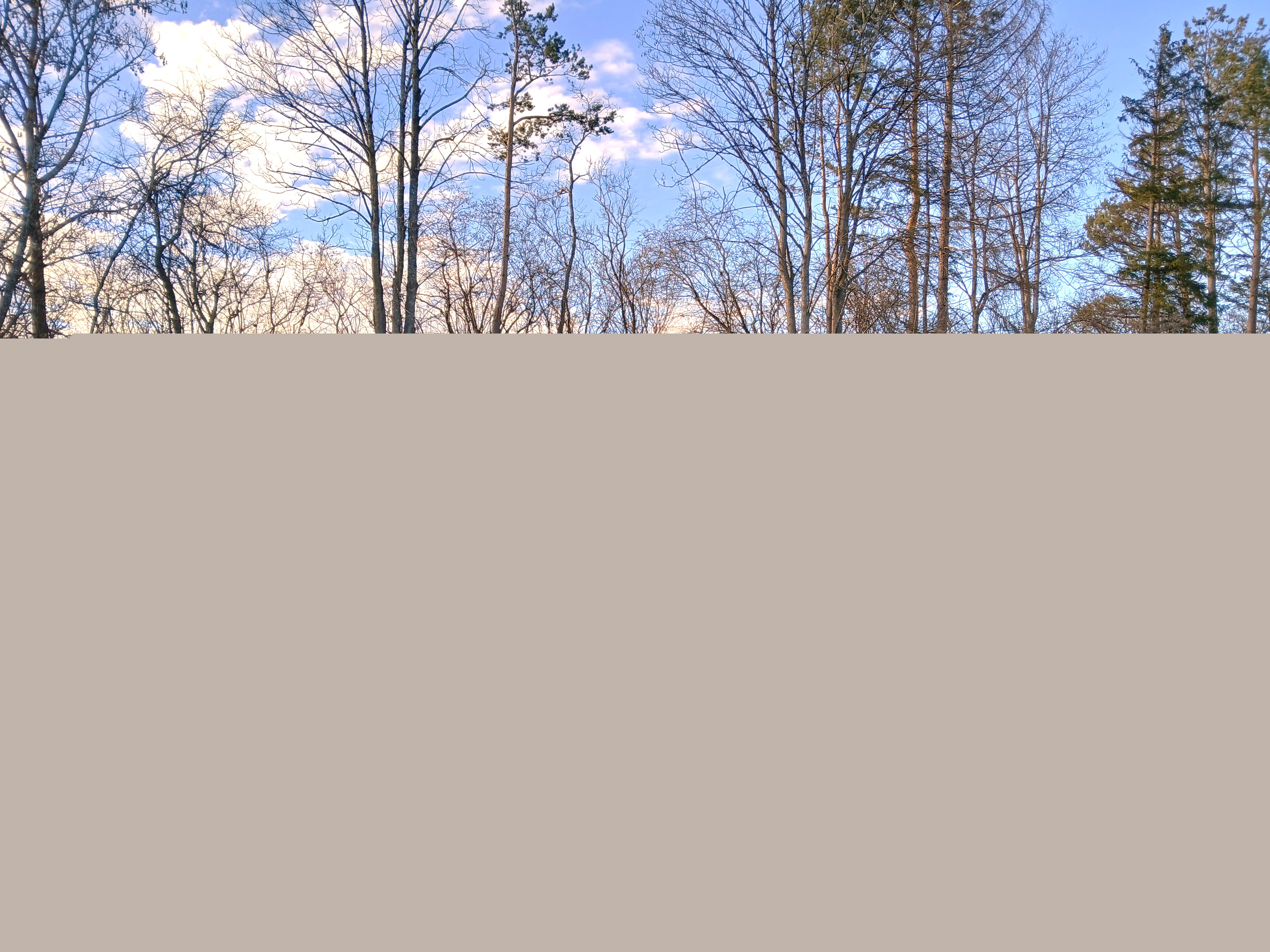 Herbst & Berchtold GmbH cover image