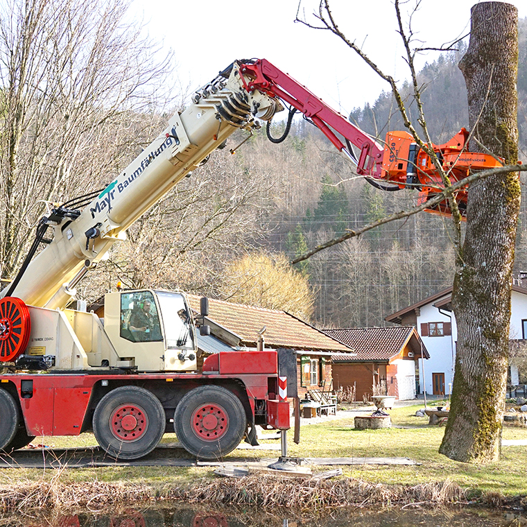 Beispielarbeit von Landschaftspflege Hubert Mayr - veröffentlicht auf Gartenbau.org