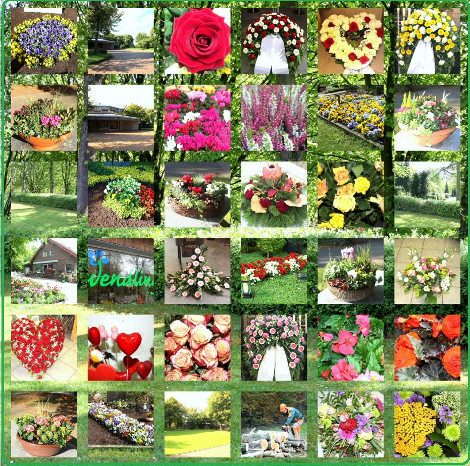 Beispielarbeit von Wendling GbR - veröffentlicht auf Gartenbau.org
