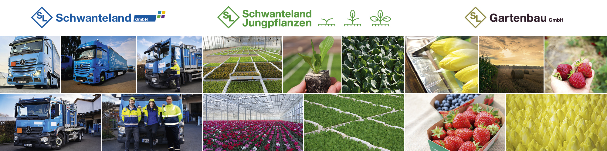 Schwanteland Gruppe cover image