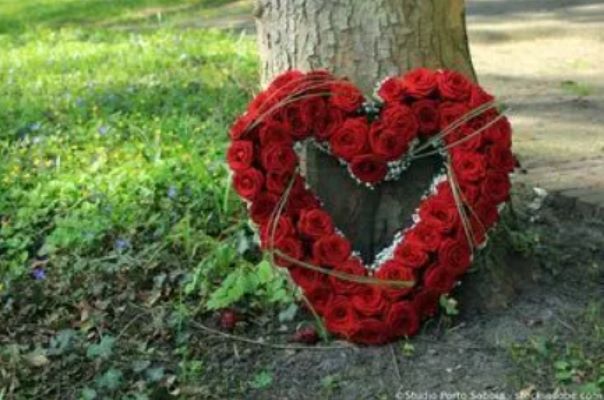 Beispielarbeit von Gartenbau Stefan Lampert - veröffentlicht auf Gartenbau.org