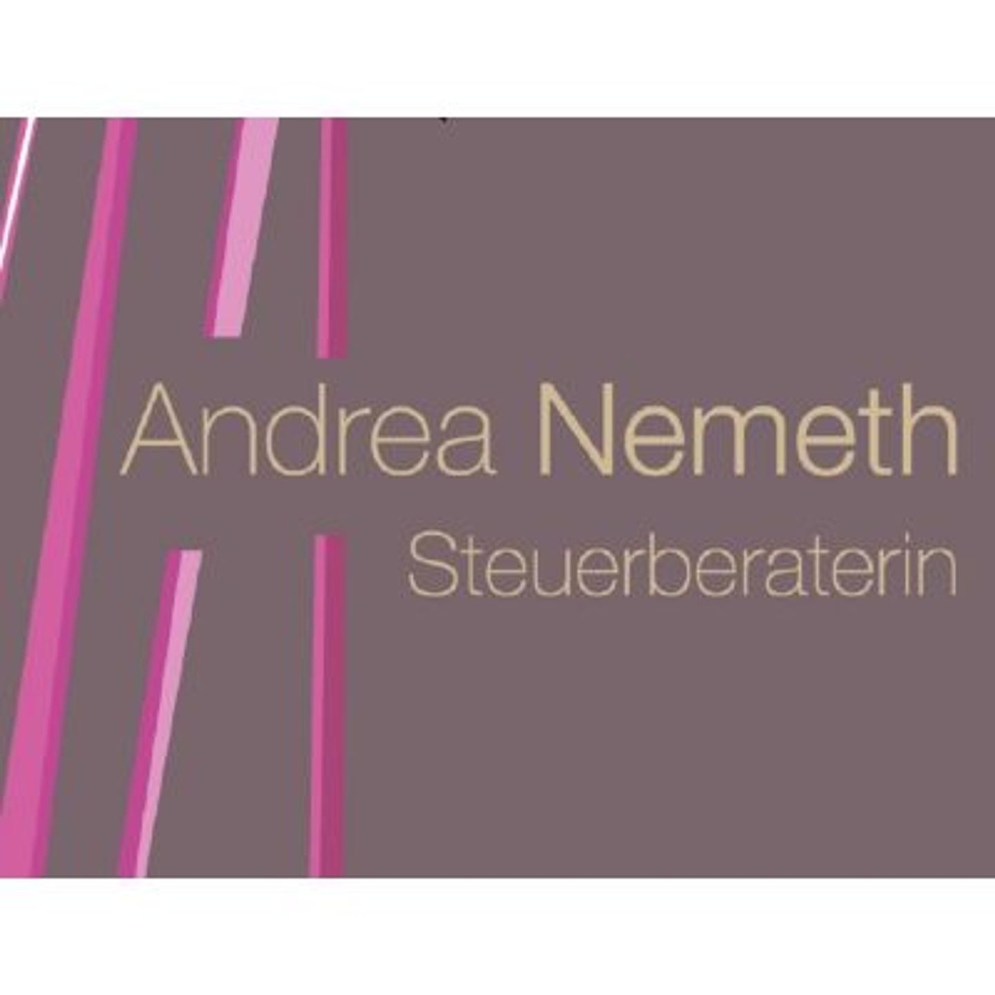 Logo der Firma Nemeth Andrea Steuerberaterin aus Dachau auf dem Branchenportal Steuer-Berater.de