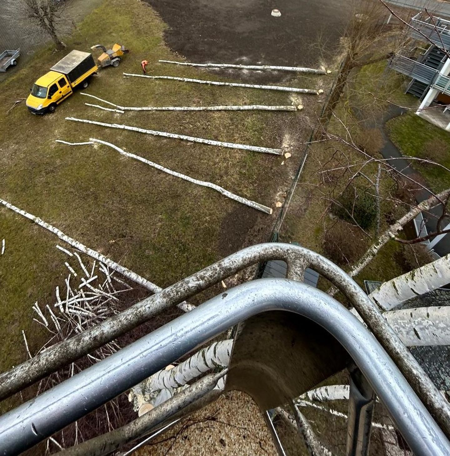 Beispielarbeit von Baumfällungen Müller - veröffentlicht auf Gartenbau.org