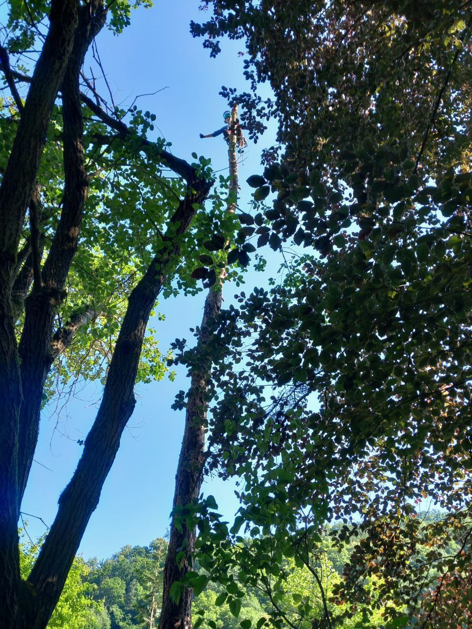 Beispielarbeit von GalabauM | Bamberg - veröffentlicht auf Gartenbau.org