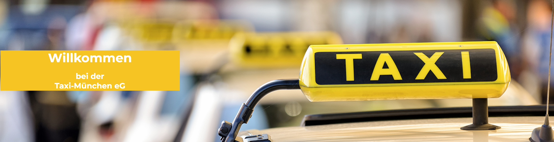 Taxi München eG Genossenschaft der Münchner Taxiunternehmen cover image