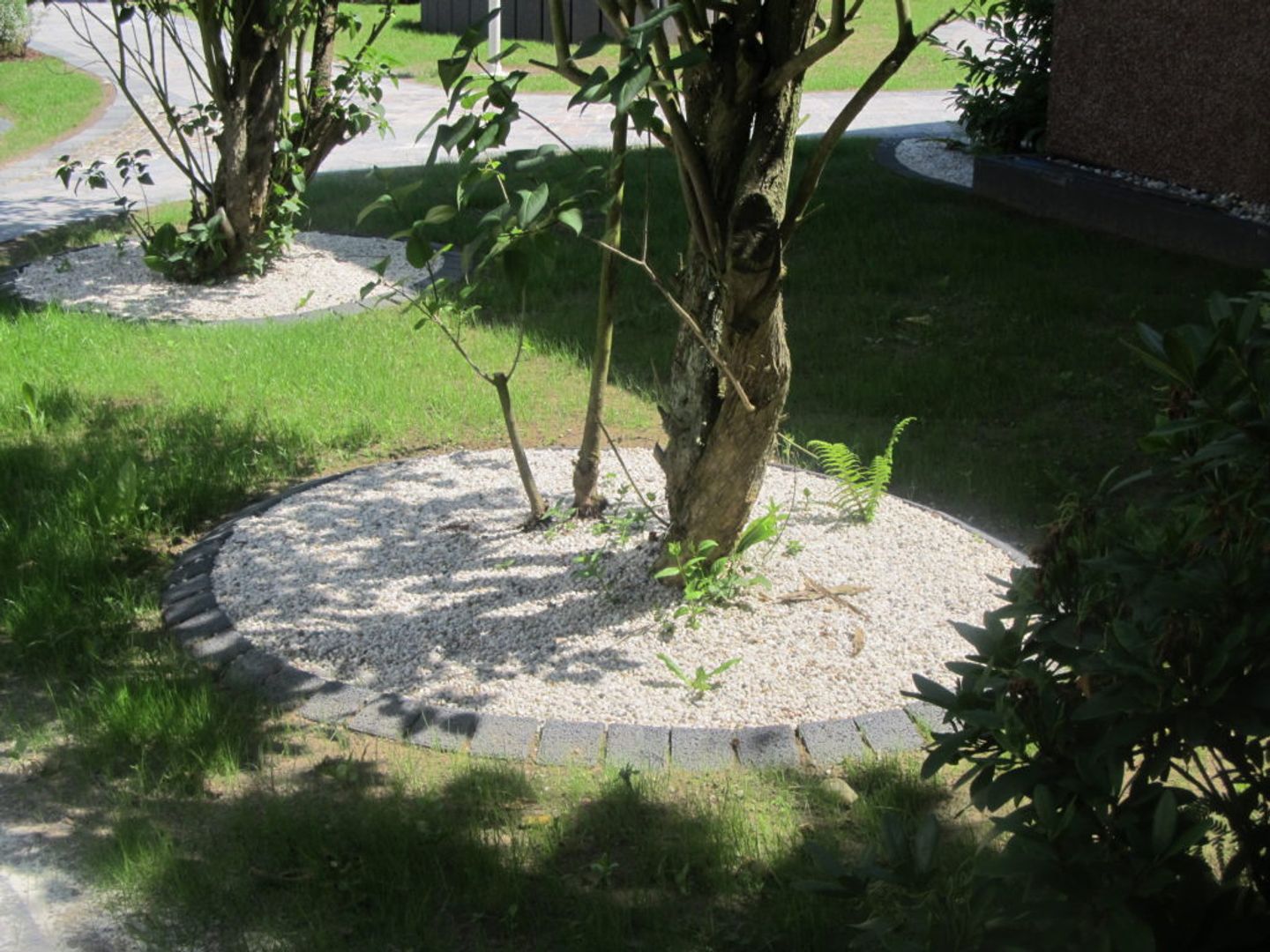 Beispielarbeit von Böhmelt GmbH - veröffentlicht auf Gartenbau.org