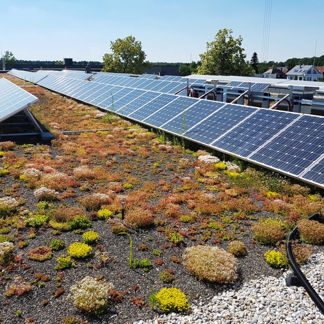 Beispielarbeit von SUNSTAR Solartechnik GmbH & Co. KG - veröffentlicht auf Solartechnik.org