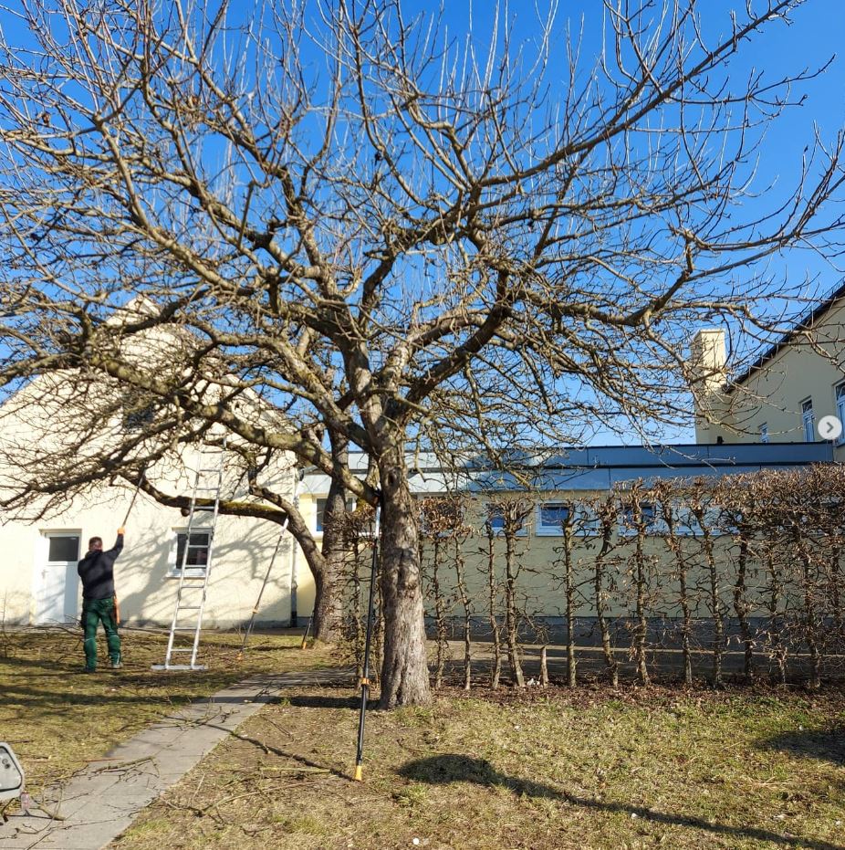 Beispielarbeit von Garten- und Landschaftsbau Joachim Drexler - veröffentlicht auf Gartenbau.org