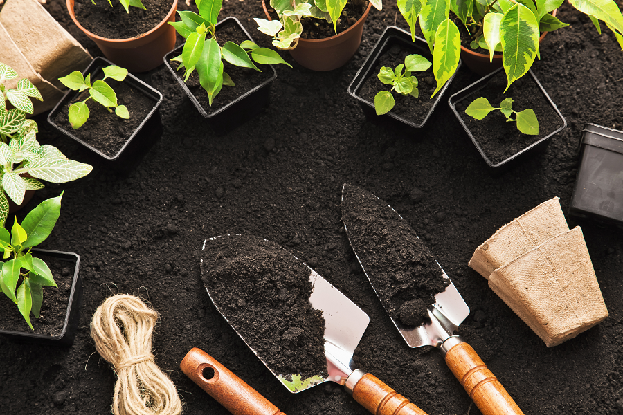 Beispielarbeit von Mathyschok Ralf Garten- und Landschaftsbau - veröffentlicht auf Gartenbau.org