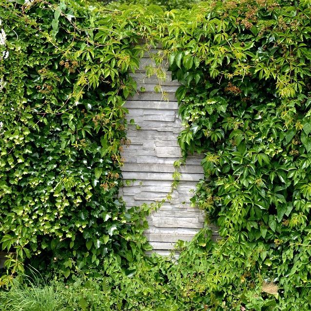 Logo der Firma Gartenpflege Birke aus Marktrodach auf dem Branchenportal Gartenbau.org