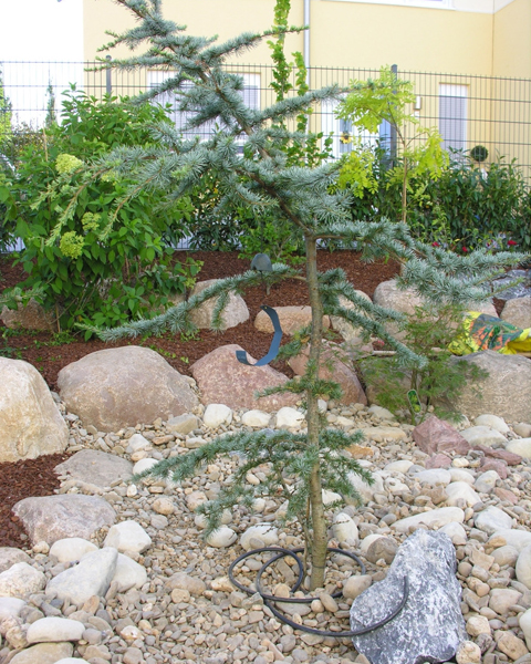 Beispielarbeit von Garten und mehr - Jan Langhanki - veröffentlicht auf Gartenbau.org
