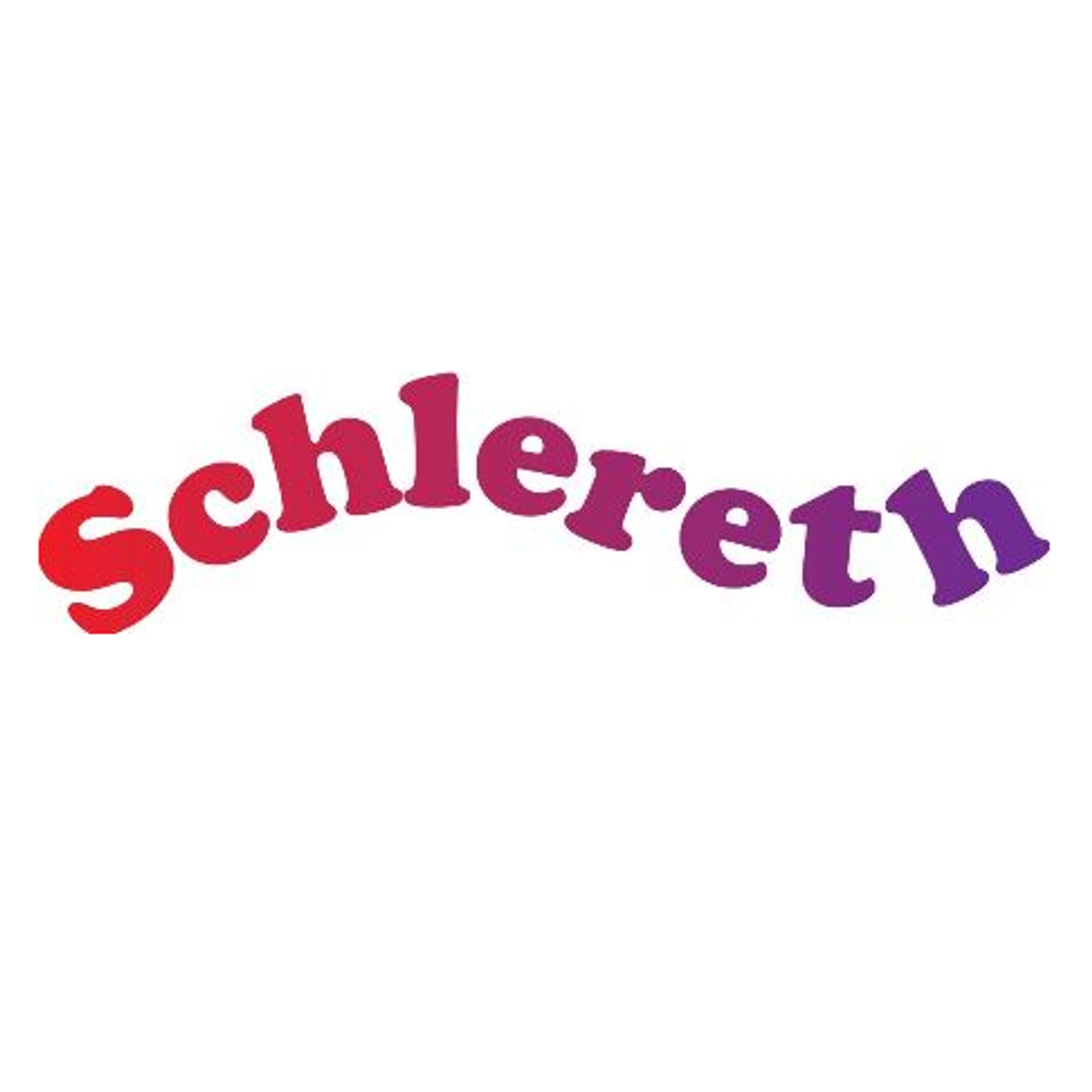 Friseur Schlereth - LOGO