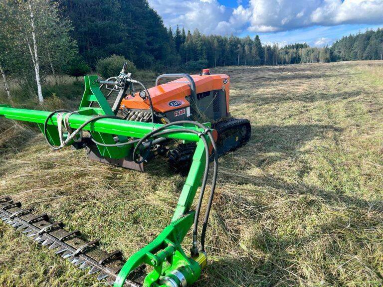Beispielarbeit von BICHLMEIER Landschaftspflege - veröffentlicht auf Gartenbau.org