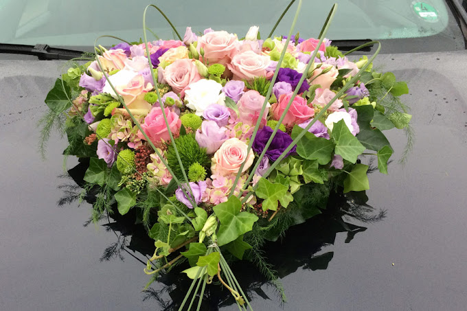 Beispielarbeit von Blumen Zuckschwert - veröffentlicht auf Gartenbau.org
