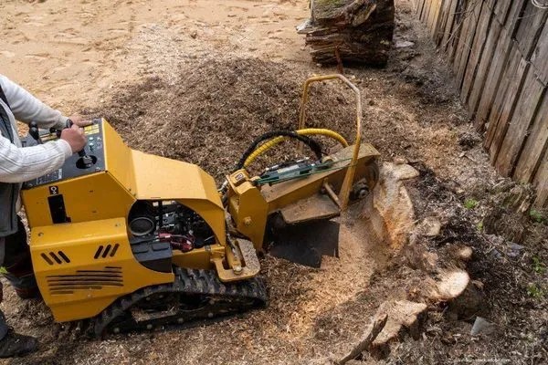 Beispielarbeit von Euro Baumdienst GmbH - veröffentlicht auf Gartenbau.org