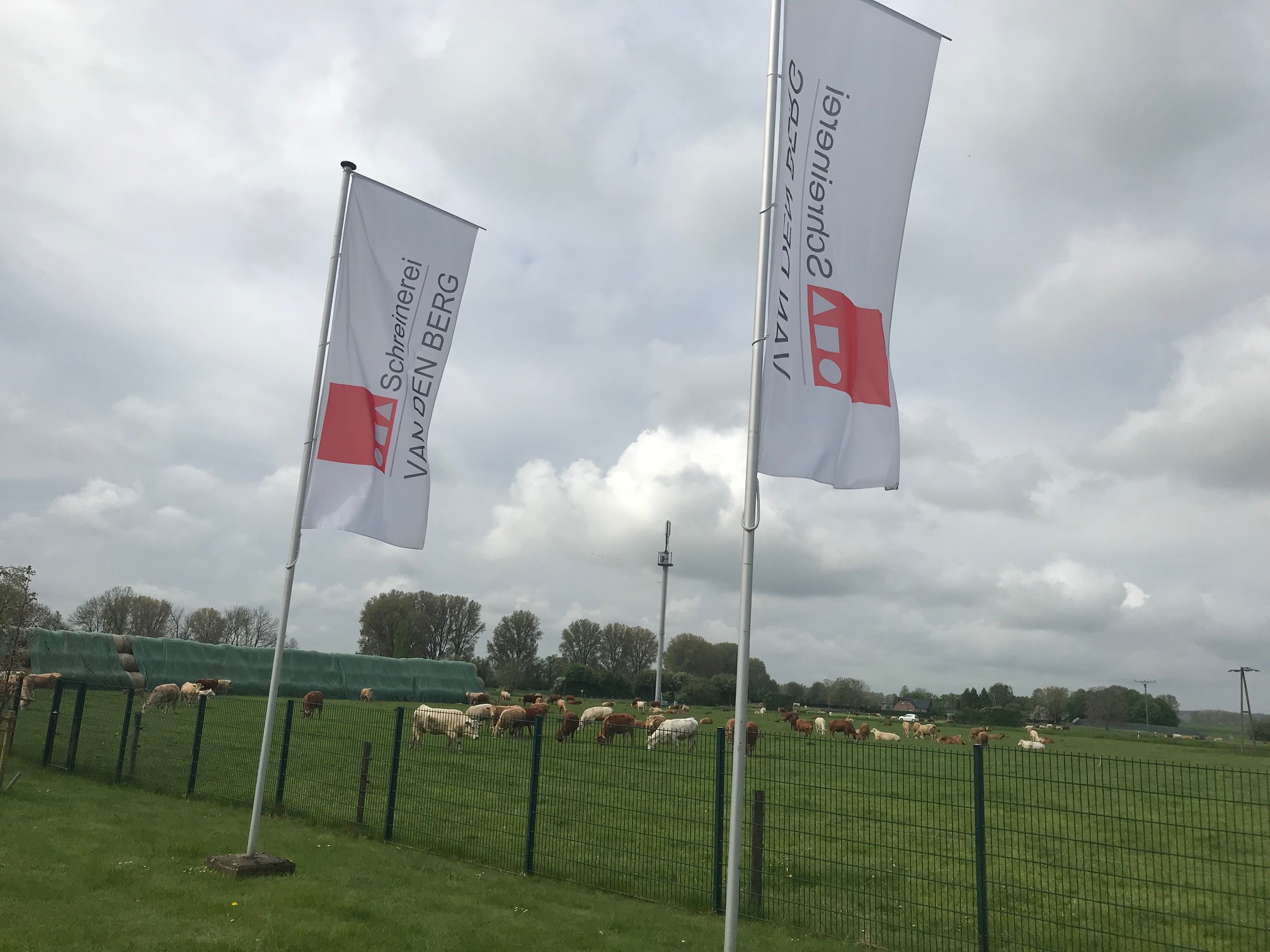 Schreinerei van den Berg cover image