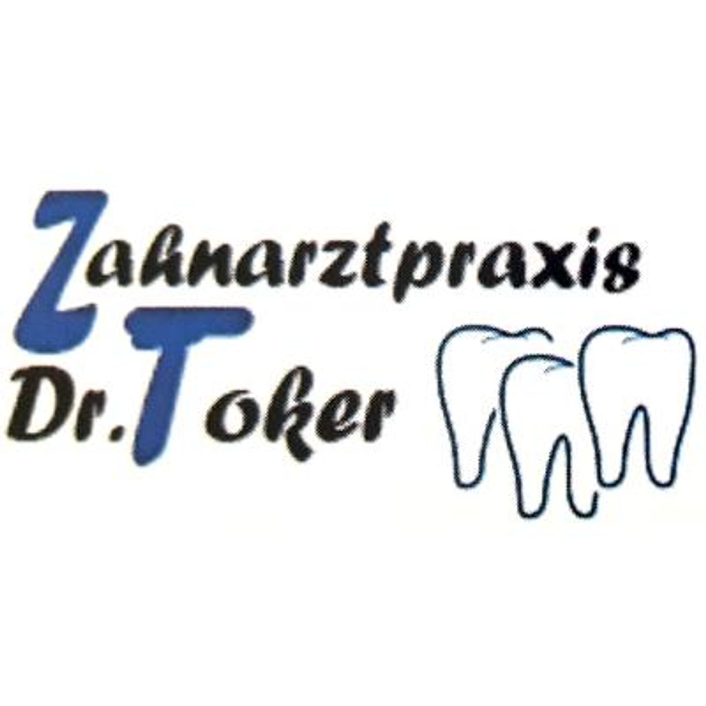 Toker Tolga Dr. - LOGO