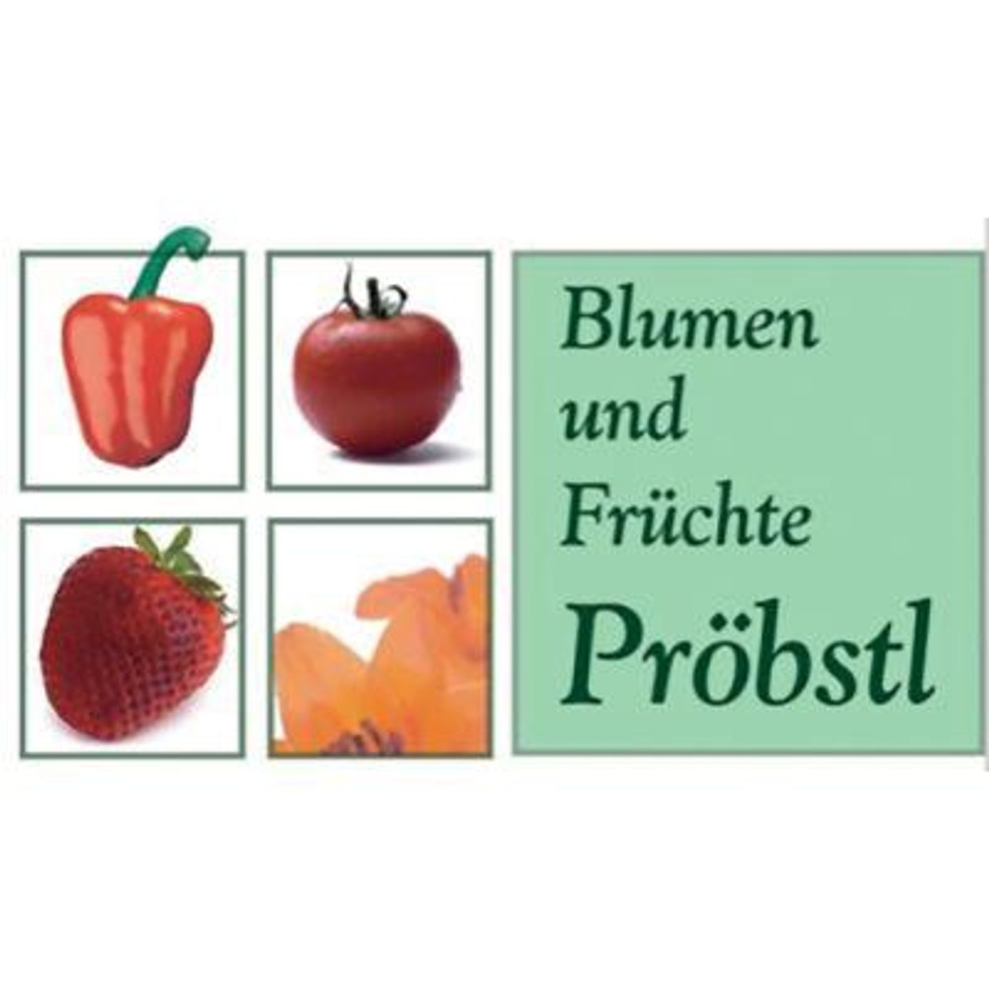 Logo der Firma Blumen und Früchte Pröbstl aus Schongau auf dem Branchenportal Gartenbau.org