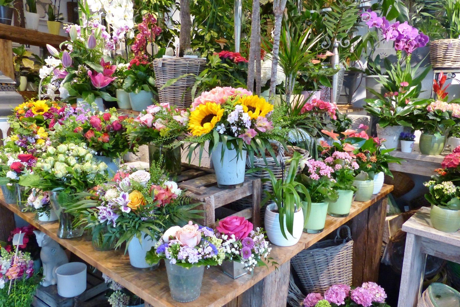 Beispielarbeit von Le Fleur Das Blumencafe - veröffentlicht auf Gartenbau.org